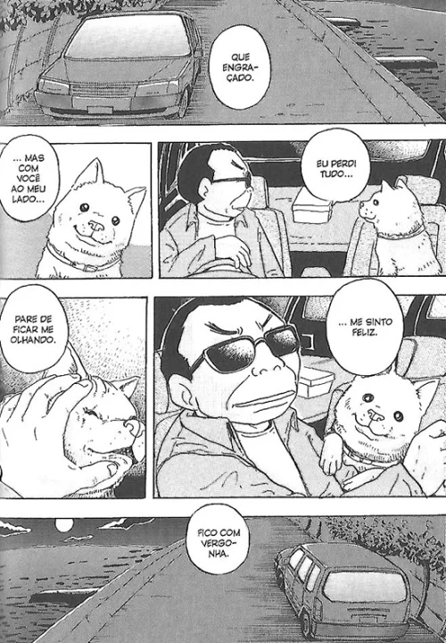 página cão que guarda estrelas2