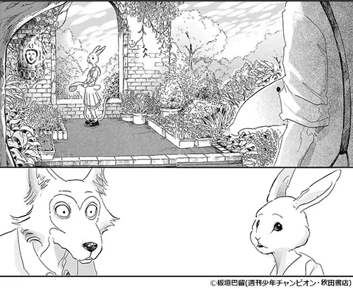 página mangá haru e Legoshi