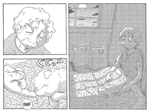 página mangá o outro cão que guarda estrelas