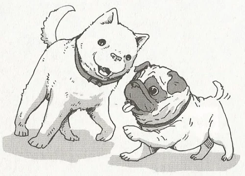 página o outro cão que guarda as estrelas